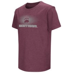 Colosseum Kids' Montana Grizzlies Fade T-Shirt Maroon