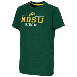 Colosseum Kids' North Dakota State Bison Toontown T-Shirt Green
