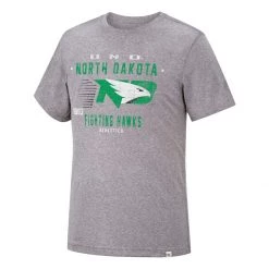 Colosseum North Dakota Fighting Hawks Les T-Shirt Grey Heather