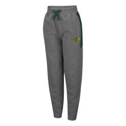 Colosseum Kids' North Dakota State Bison Rage Pants Heather Grey