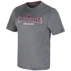 Colosseum Montana Grizzlies Larry T-Shirt Heather Grey
