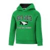 Colosseum Toddler North Dakota Fighting Hawks Chimney Hoodie Kelly Green