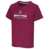 Colosseum Toddler Montana Grizzlies Marvin T-Shirt Maroon