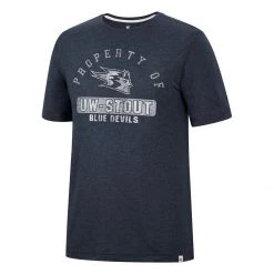Colosseum UW-Stout Blue Devils Zen T-Shirt Navy