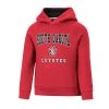 Colosseum Toddler South Dakota Coyotes Chimney Hoodie Red