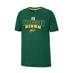 Colosseum Kids' North Dakota State Bison Fly A Kite T-Shirt Green