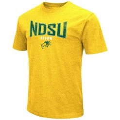 Colosseum North Dakota State Bison 2022 Playbook T-Shirt Gold -Colosseum Sales Shop unnamed file 564
