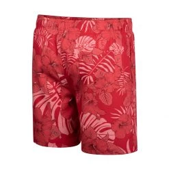 Colosseum Sales Shop -Colosseum Sales Shop unnamed file 639