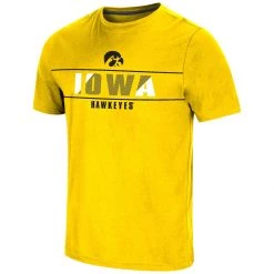 Colosseum Iowa Hawkeyes Hungus T-Shirt Black