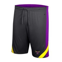 Colosseum Minnesota State Mavericks Am I Wrong Reversible Shorts Purple