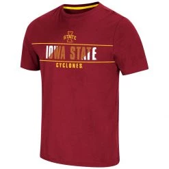 Colosseum Iowa State Cyclones Hungus T-Shirt Gold 6 Colosseum Iowa State Cyclones Hungus T-Shirt Gold -Colosseum Sales Shop unnamed file 941