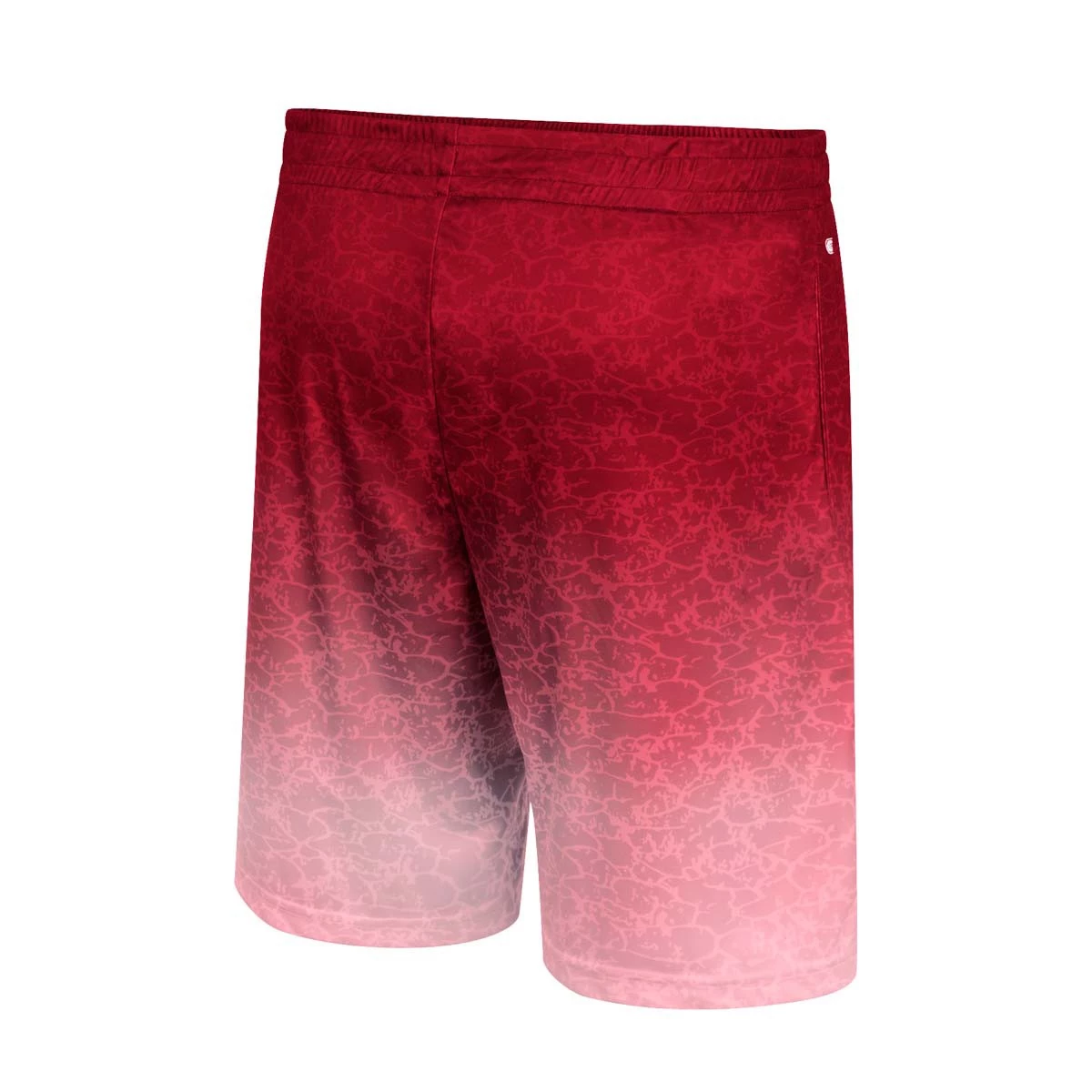 Colosseum Iowa State Cyclones Walter Shorts Cardinal 2 Colosseum Iowa State Cyclones Walter Shorts Cardinal - Image 2
